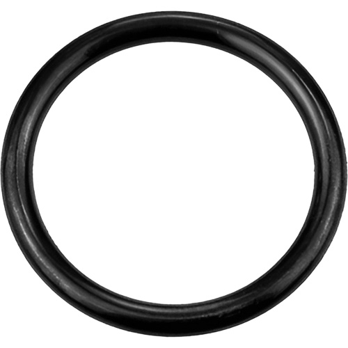 Black Replacement O-Ring, Plain Pronet Distribution