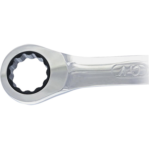Non-Reversing Ratcheting Combination Wrench Pronet Distribution