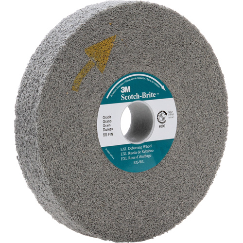 Meule d'&eacute;barbage EXL Scotch-Brite, 8" x 1", Arbre de 3" Pronet Distribution