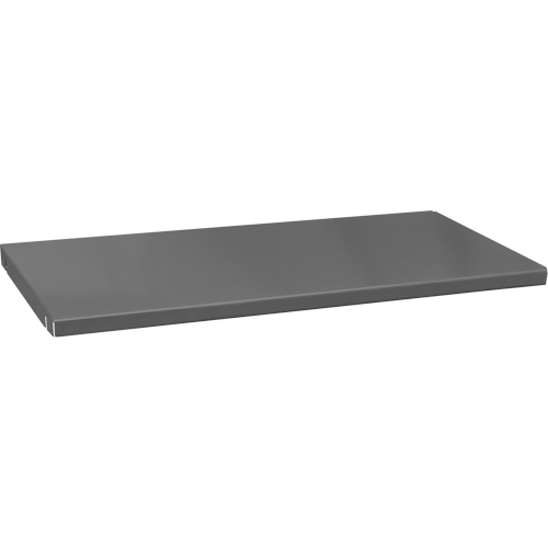 Tablettes de rechange pour armoire, 47-1/2" x 16-3/8", Capacit&eacute; de 700 lb, Acier, Gris Pronet Distribution
