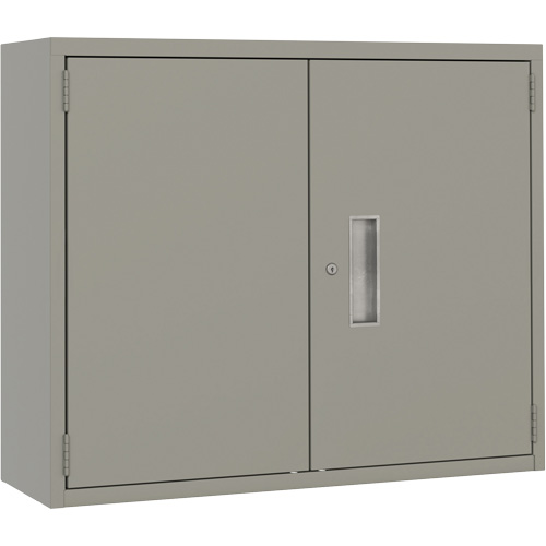 Wall Mounted Cabinet, Steel, 2 Shelves, 30" H x 36" W x 12" D, Grey Pronet Distribution