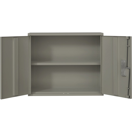 Wall Mounted Cabinet, Steel, 2 Shelves, 30" H x 36" W x 12" D, Grey Pronet Distribution