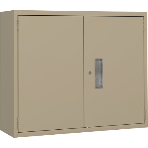 Wall Mounted Cabinet, Steel, 2 Shelves, 30" H x 36" W x 12" D, Beige Pronet Distribution