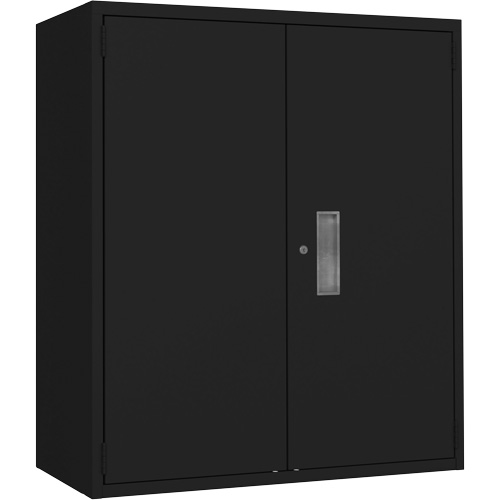 Lo-Boy Storage Cabinet, Steel, 2 Shelves, 42" H x 36" W x 18" D, Black Pronet Distribution