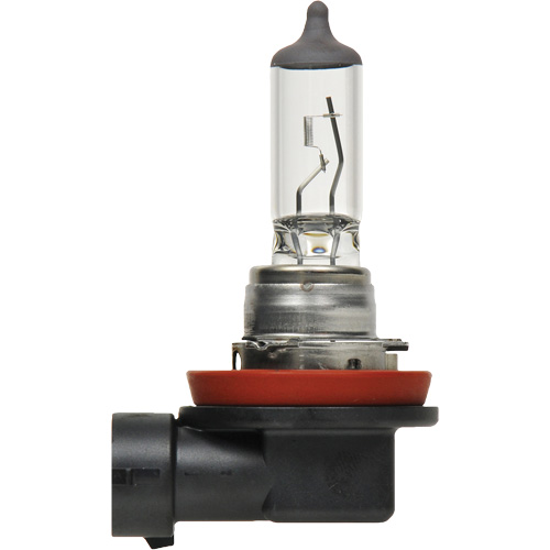 Ampoule de base pour feu avant H8, Halog&egrave;ne, 35 W, Blanc cass&eacute; Pronet Distribution