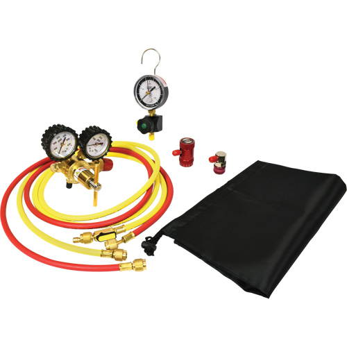 Automotive A/C Nitrogen Leak Test Kit with Regulator Pronet Distribution