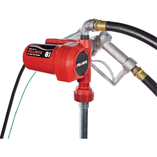 Pompe de transfert de carburant 12 V CC avec pistolet Pronet Distribution