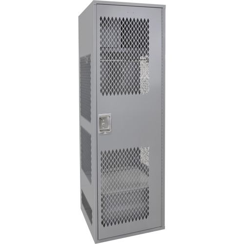 Gear Locker with Door, Steel, 24" W x 24" D x 72" H, Grey Pronet Distribution