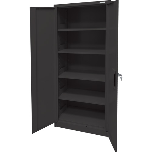 Armoire d'entreposage, Acier, 4 Tablettes, 66" h x 30" la x 15" P, Noir Pronet Distribution