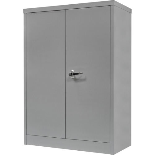 Armoire de rangement &agrave; hauteur de comptoir, Acier, 2 Tablettes, 42" h x 30" la x 15" P, Gris Pronet Distribution