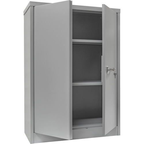 Armoire de rangement &agrave; hauteur de comptoir, Acier, 2 Tablettes, 42" h x 30" la x 15" P, Gris Pronet Distribution