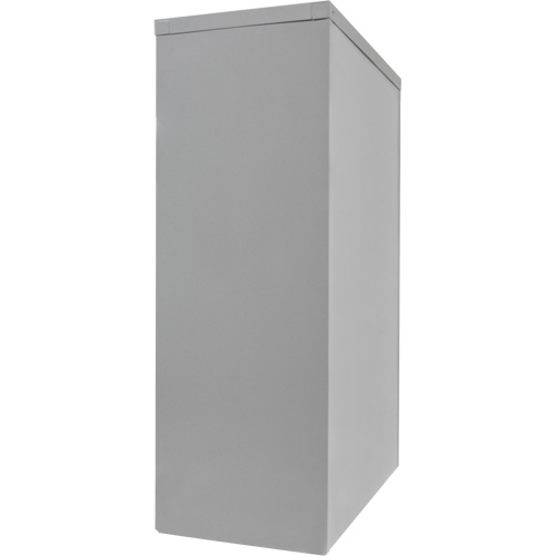 Armoire de rangement &agrave; hauteur de comptoir, Acier, 2 Tablettes, 42" h x 30" la x 15" P, Gris Pronet Distribution