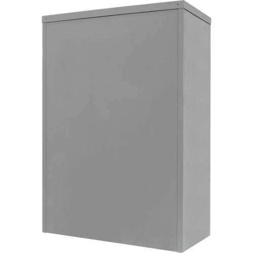 Armoire de rangement &agrave; hauteur de comptoir, Acier, 2 Tablettes, 42" h x 30" la x 15" P, Gris Pronet Distribution