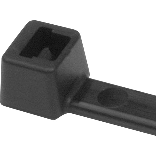 Attaches de c&acirc;ble PA66, Longueur 5-1/2", R&eacute;sistance &agrave; la traction 18 lb, Noir Pronet Distribution