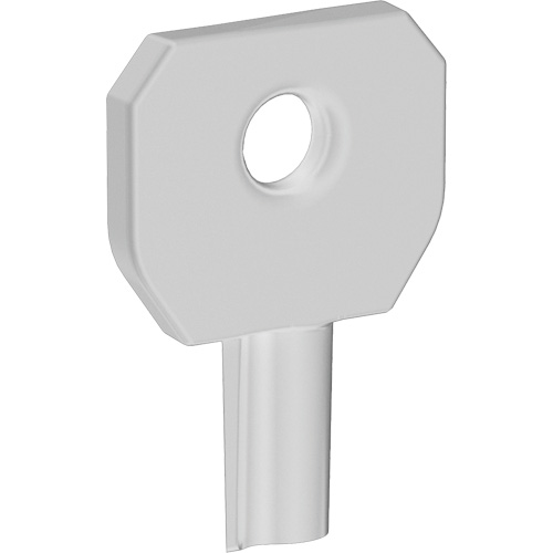 Cl&eacute; pour distributeur Lock or Not Pronet Distribution