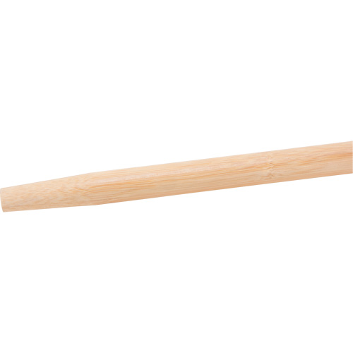 Handle, Wood, Tapered Tip, 1" Diameter, 60" Length Pronet Distribution
