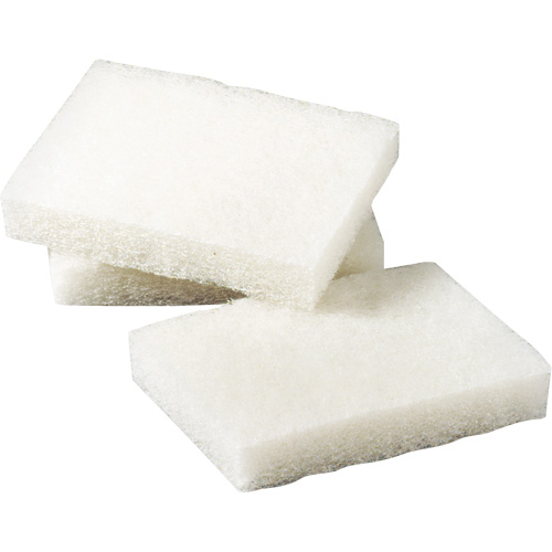 Tampon &agrave; r&eacute;curer pour petits travaux Scotch-Brite, 5" lo x 3-1/2" la Pronet Distribution