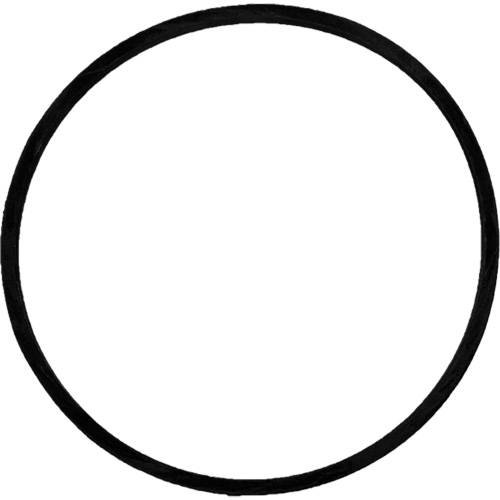 Replacement Brush Drive Belt Pronet Distribution
