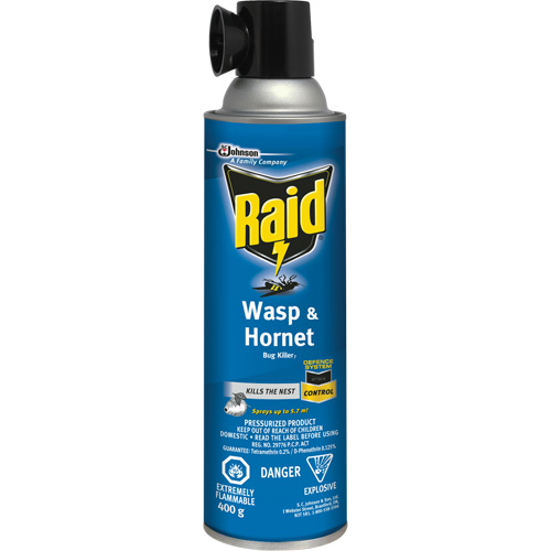 Insecticide contre les gu&ecirc;pes et les frelons Raid, 400 g, &agrave; base de solvant Pronet Distribution