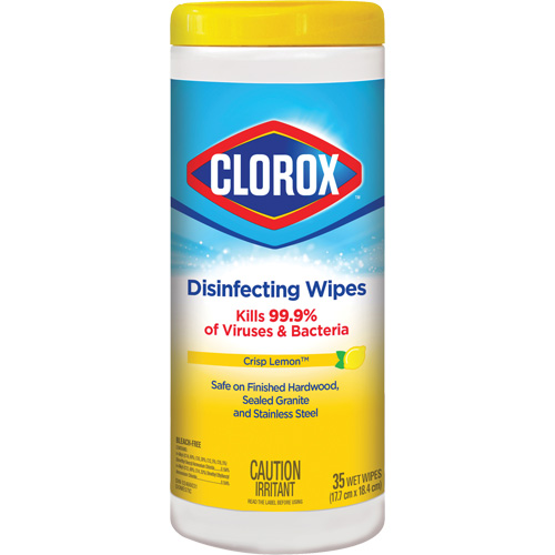 Disinfecting Wipes, 35 Count Pronet Distribution