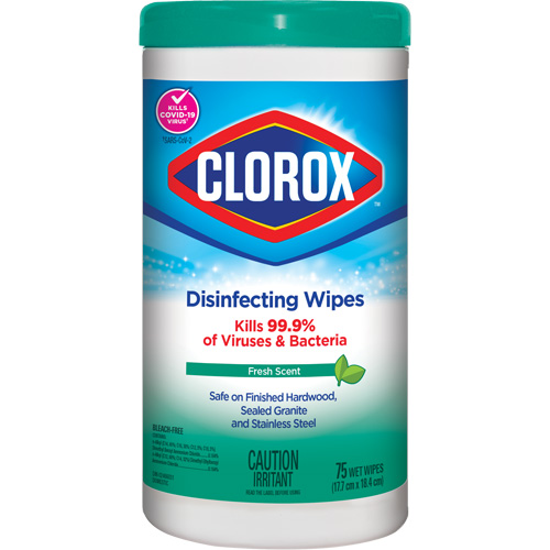 Disinfecting Wipes, 75 Count Pronet Distribution