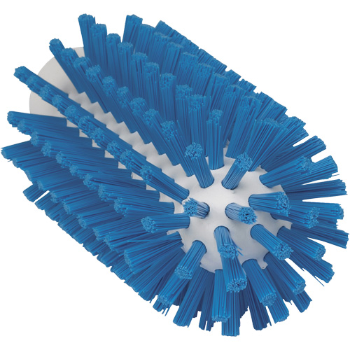 2.5" Brush, Stiff Bristles, 5-3/5" Long, Blue Pronet Distribution