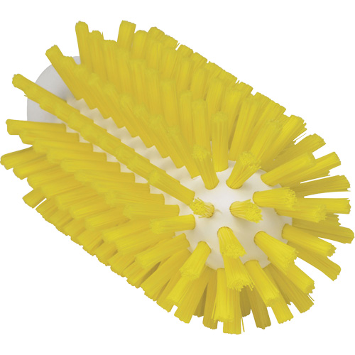Brosse de 2,5", Soies Ferme, Longueur de 5-3/5", Jaune Pronet Distribution