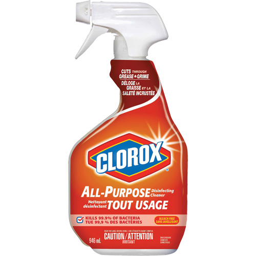 All-Purpose Disinfecting Cleaner Spray, 946 ml, Trigger Bottle Pronet Distribution