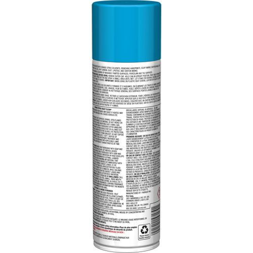 Nettoyant tout usage Pro Line Crazy Clean, 19 oz., Canette a&eacute;rosol Pronet Distribution