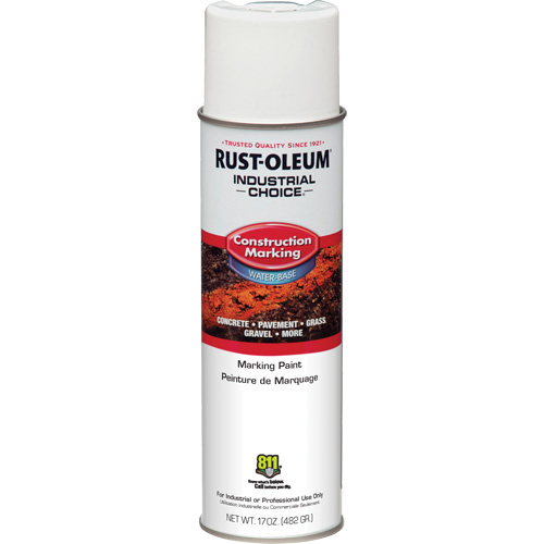 Peinture de marquage &agrave; base d'eau, 17 oz, Canette a&eacute;rosol Pronet Distribution