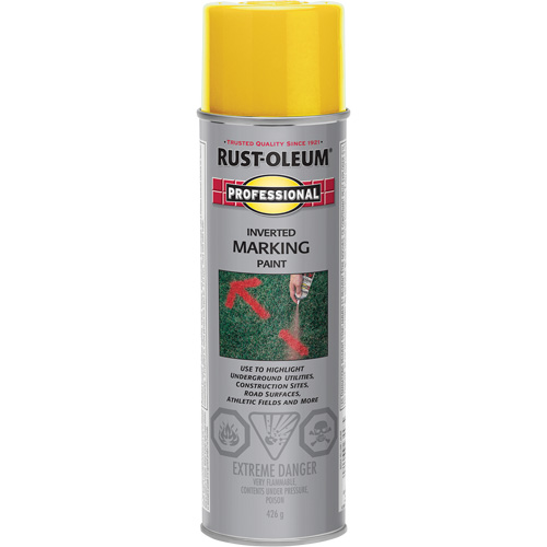 Peinture de marquage renvers&eacute; en a&eacute;rosol, 426 g, Canette a&eacute;rosol Pronet Distribution