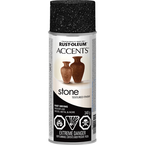 Accents&reg; Stone Creations Spray Paint, Aerosol Can, Black Granite Pronet Distribution