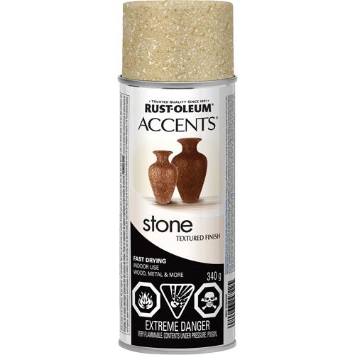 Accents&reg; Stone Creations Spray Paint, Aerosol Can, Bleached Stone Pronet Distribution