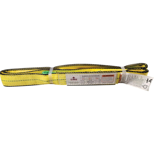 Polyester Web Sling, Double Ply, Twisted Eye, Type 4, 2" W x 8' L, 6400 lbs. Vertical Cap. Pronet Distribution