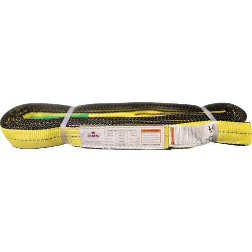 &eacute;lingue en sangle de polyester, Pli Double, Oeillets renvers&eacute;s, Type 4, 2" la x 20' lo, Capacit&eacute; verticale 6400 lb Pronet Distribution