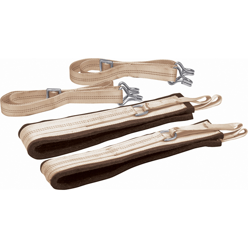Moving Straps Pronet Distribution