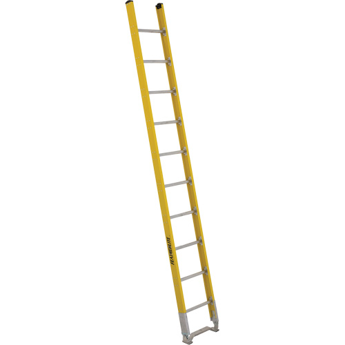 Single Section Straight Ladder - 6100 Series, 10', Fibreglass, 375 lbs., CSA Grade 1AA Pronet Distribution
