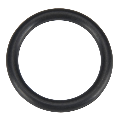 O Ring, Plain Pronet Distribution