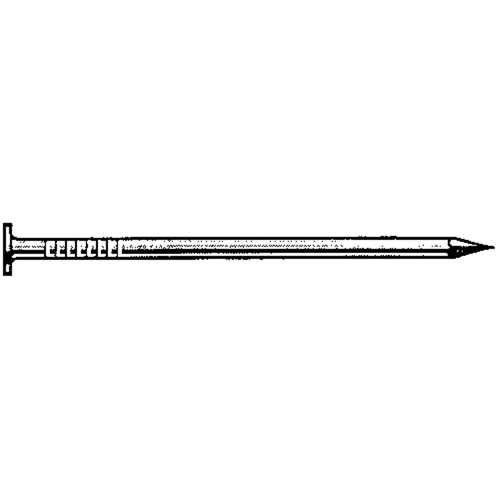 Common Hot Dip Galvanized Nails Pronet Distribution