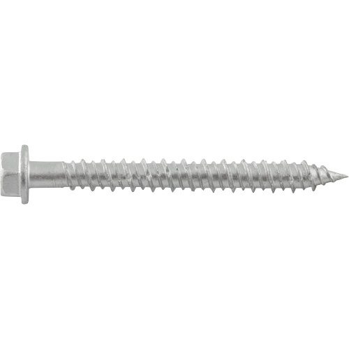 Vis de scellement Aggre-Gator, 1/4" x 1-1/4" lo, Acier inoxydable Pronet Distribution