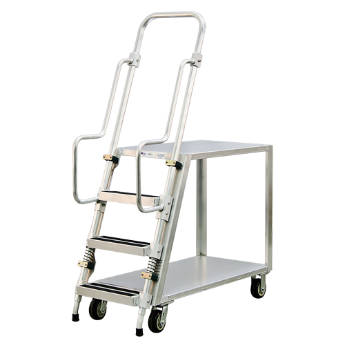 Chariot de pr&eacute;paration en aluminium avec &eacute;chelle, Aluminium, 22" la x 51-1/2" p, 2 tablettes, Capacit&eacute; 800 lb Pronet Distribution