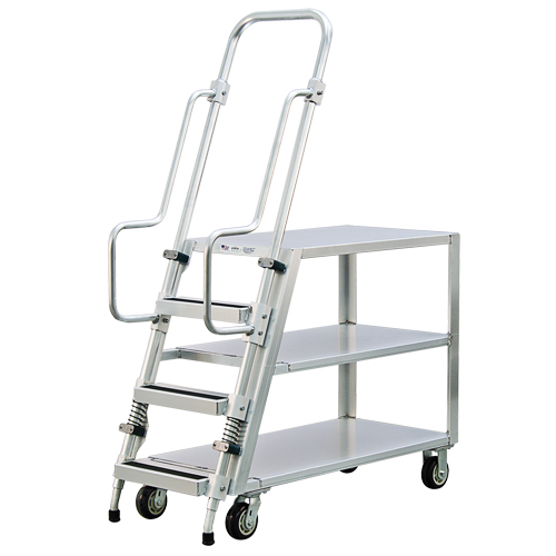 Chariot de pr&eacute;paration en aluminium avec &eacute;chelle, Aluminium, 22" la x 51-1/2" p, 3 tablettes, Capacit&eacute; 800 lb Pronet Distribution