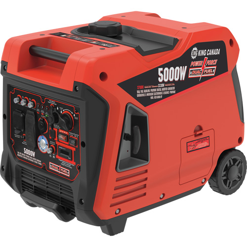Dual Fuel Gasoline/Propane Inverter Generator Pronet Distribution