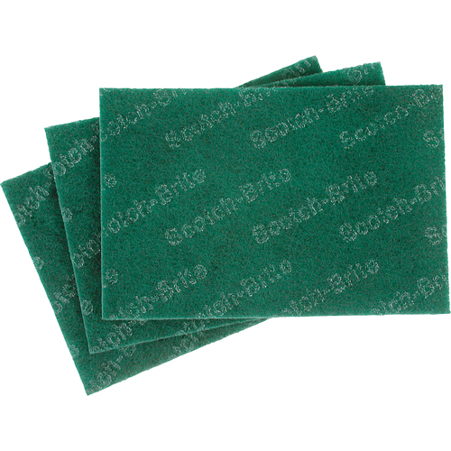 Tampons manuels Scotch-Brite, 9" lo x 6" la Pronet Distribution