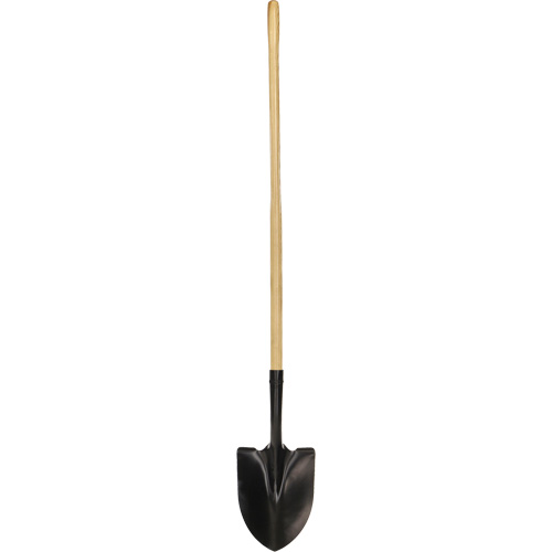 Pelle ronde, Lame Acier durci, Bois, Manche Droit Pronet Distribution