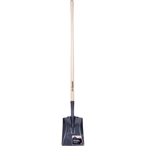 Pro Square Point Shovel, Wood, Tempered Steel Blade, Straight Handle, 48" Long Pronet Distribution