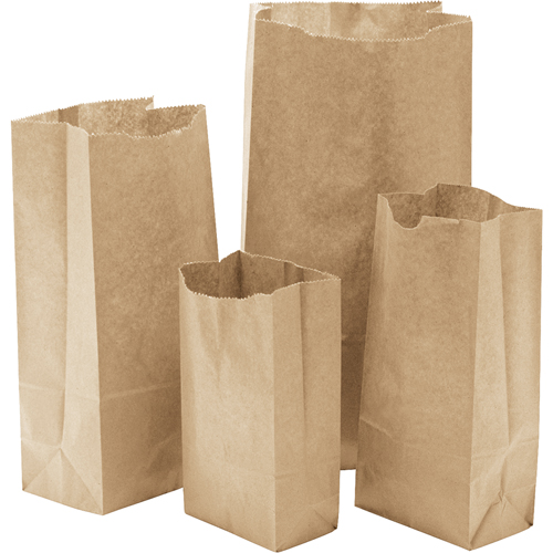 Paper Bags, Paper, 6-1/4" W x 12-1/2" L Pronet Distribution