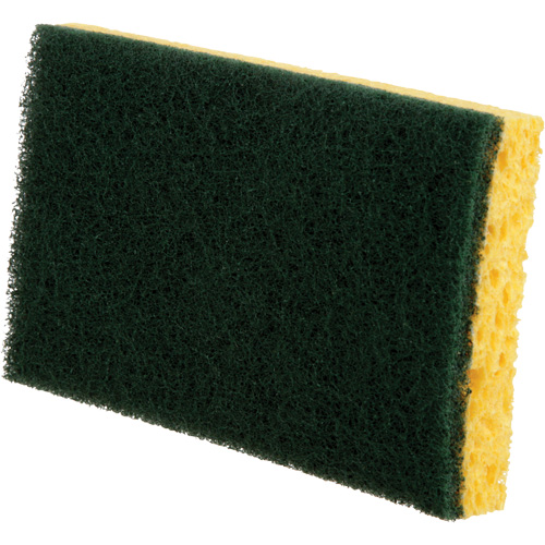 Utility Sponges, Cellulose, 6" W x 3-1/2" L Pronet Distribution