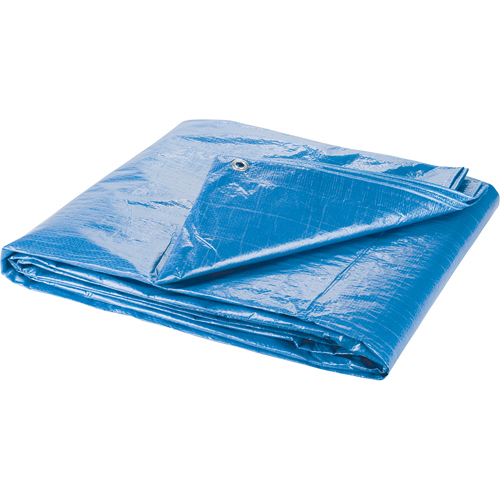 Tarp, Standard Duty, Blue, 7' x 5' x 4 mils Pronet Distribution