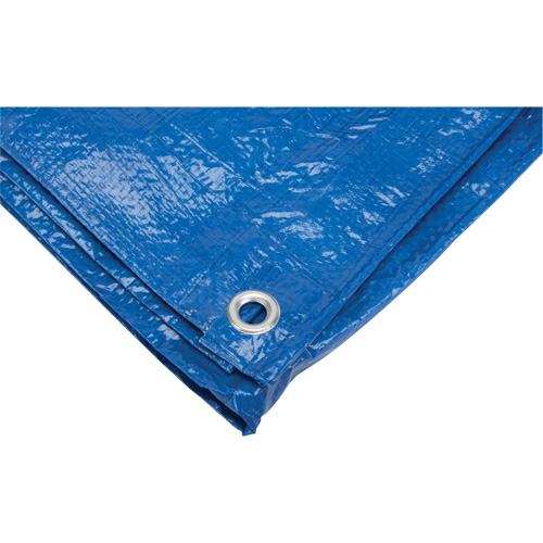 Tarp, Standard Duty, Blue, 7' x 5' x 4 mils Pronet Distribution